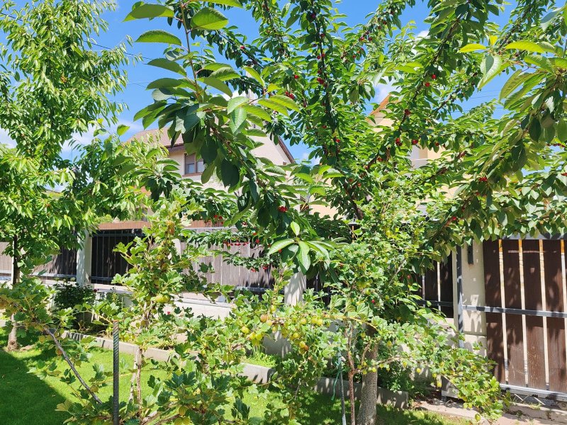 Nagy családosoknak vagy két generáció számára!