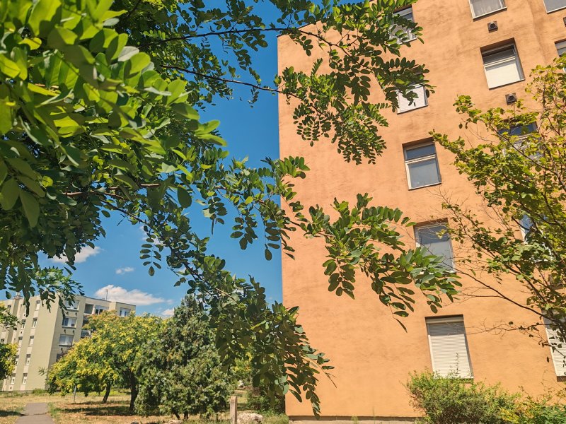 3 szobás, erkélyes lakás a Nyuszi sétányon eladó