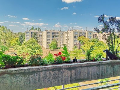 3 szobás, erkélyes lakás a Nyuszi sétányon eladó