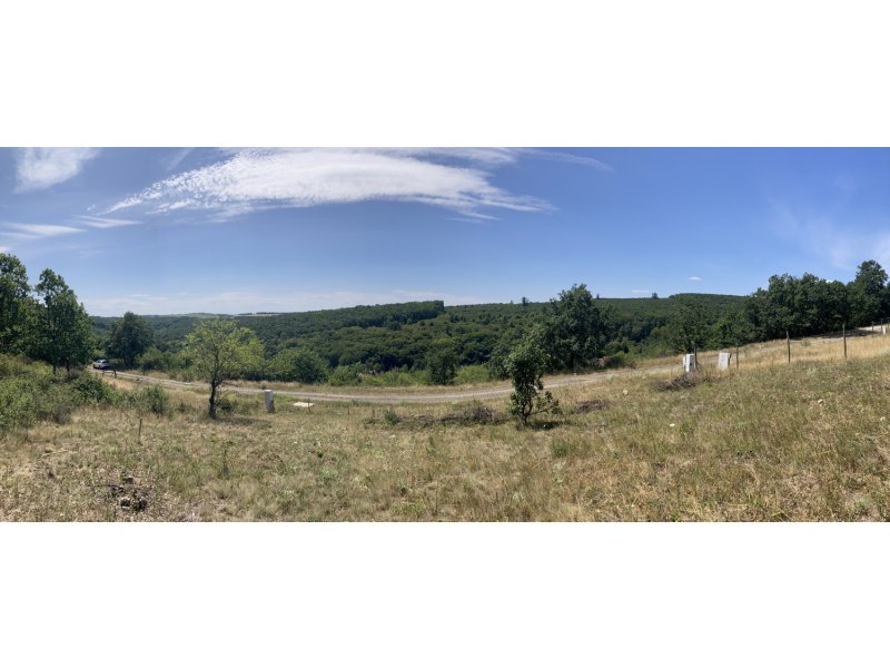 PANORÁMÁS, ÖSSZKÖZMŰVES ÉPÍTÉSI TELEK ELADÓ SZENDEHELY KATALINPUSZTÁN, SZARVASRÉTEN