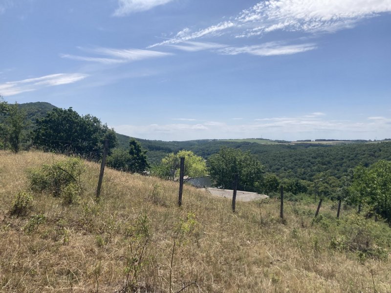 PANORÁMÁS, ÖSSZKÖZMŰVES ÉPÍTÉSI TELEK ELADÓ SZENDEHELY KATALINPUSZTÁN, SZARVASRÉTEN