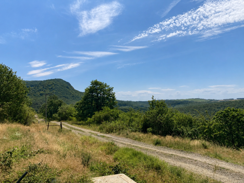 PANORÁMÁS, ÖSSZKÖZMŰVES ÉPÍTÉSI TELEK ELADÓ SZENDEHELY KATALINPUSZTÁN, SZARVASRÉTEN