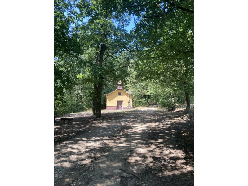 PANORÁMÁS, ÖSSZKÖZMŰVES ÉPÍTÉSI TELEK ELADÓ SZENDEHELY KATALINPUSZTÁN, SZARVASRÉTEN