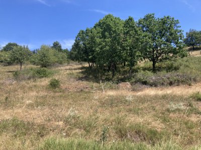 PANORÁMÁS, ÖSSZKÖZMŰVES ÉPÍTÉSI TELEK ELADÓ SZENDEHELY KATALINPUSZTÁN, SZARVASRÉTEN