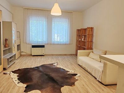 Téglaépítésű 1 szobás lakás eladó